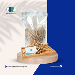 (1kg) Sâm Dây Ngọc Linh Khô Kon Tum