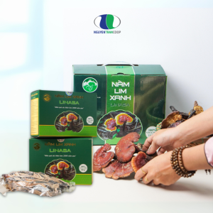 Nấm Lim Xanh Rừng Quảng Nam LiNaSa -  {1kg Nấm Thái Lát}