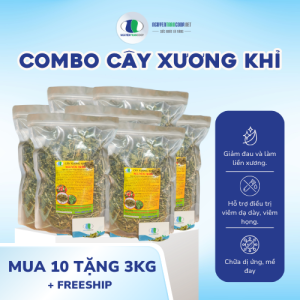 LIỆU TRÌNH 10KG: CÂY XƯƠNG KHỈ MUA 10 TẶNG 3KG