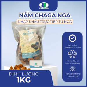 (1Kg) NẤM CHAGA NGA ( Siberia - Nga nhập khẩu chính ngạch )