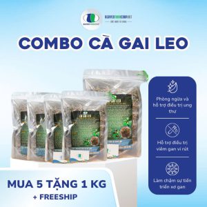 LIỆU TRÌNH COMBO 5KG: CÀ GAI LEO MUA 5 TẶNG 1KG