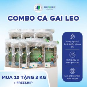 LIỆU TRÌNH COMBO 10KG: CÀ GAI LEO MUA 10 TẶNG 3KG