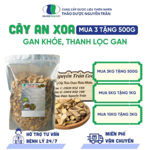 Cây An Xoa " Giúp G.a.n Khỏe - Thanh Lọc G.a.n