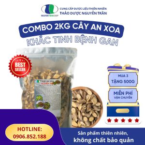 LIỆU TRÌNH 2kg:  Cây An Xoa - Khắc Tinh Của B.ệ.n.h G.a.n