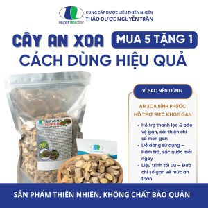 Cây An Xoa "Cách dùng hiệu quả" 5 ký tặng 1 ký