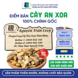Điểm bán Cây An Xoa - 100% Chính Gốc