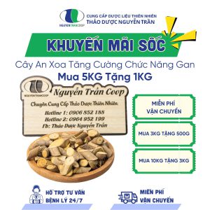 Cây An Xoa Khuyến Mãi - Mua 5 Tặng 1