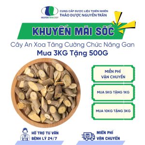 [ KM Sốc ] Cây An Xoa - Mua 3kg tặng 500g