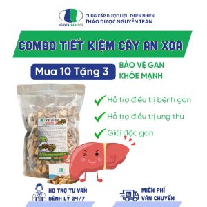 [ Tiết kiệm ] Cây An Xoa - Mua 10kg Tặng 3kg