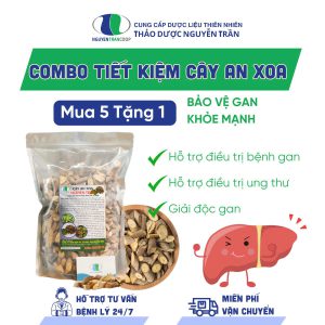 [ Tiết Kiệm ] Cây An Xoa - Mua 5 Tặng 1