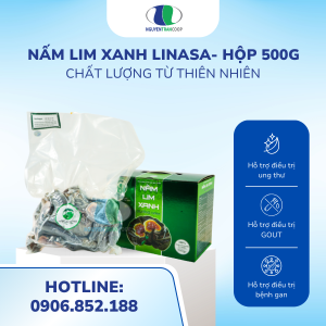 Nấm Lim Xanh Linasa Nguyên Tai - Hộp 500g