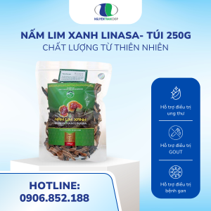 ( Túi 250g ) Nấm Lim Xanh Nấm Lim Xanh Rừng Quảng Nam {LiNaSa}