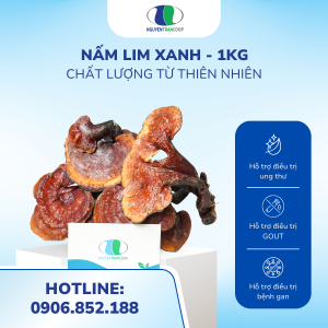 (1kg) Nấm Lim Xanh Rừng Quảng Nam {Nguyên Tai}