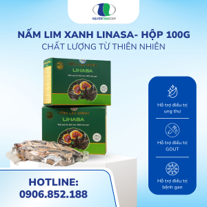 ( Hộp 100g ) Nấm Lim Xanh Rừng Quảng Nam  {LiNaSa}