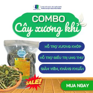 Cây xương khỉ: Hỗ trợ βệnh xươղg kћớp, kћáng ѵiêm