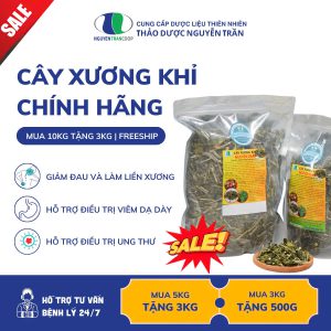 (10kg) Cây xương khỉ: Mua 10 tặng 3 ( Freeship )