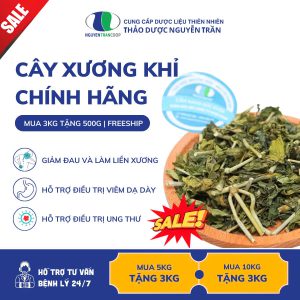 Cây xương khỉ: Mua 3 TẶNG 500g ( Freeship )