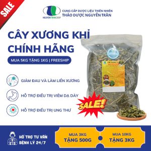 (5kg) Cây xương khỉ: Mua 5 TẶNG 1 ( Freeship )