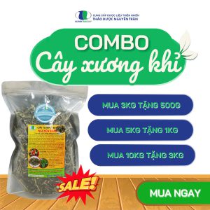 Mua Combo Khuyến Mãi Cây Xương Khỉ
