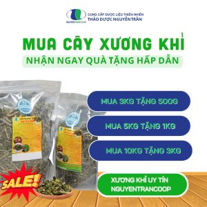 Mua cây xương khỉ, khuyến mãi khi mua từ 3 ký