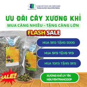 Cây Xương Khỉ ( Cây Bìm Bịp )