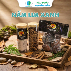 Nấm  Lim Xanh Rừng Quảng Nam